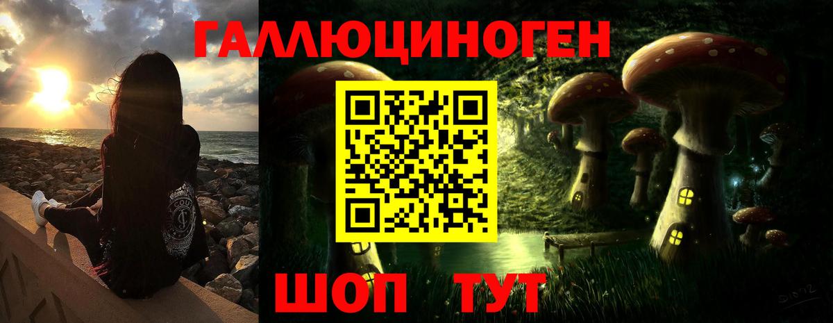 Псилоцибиновые грибы Psilocybe Киров