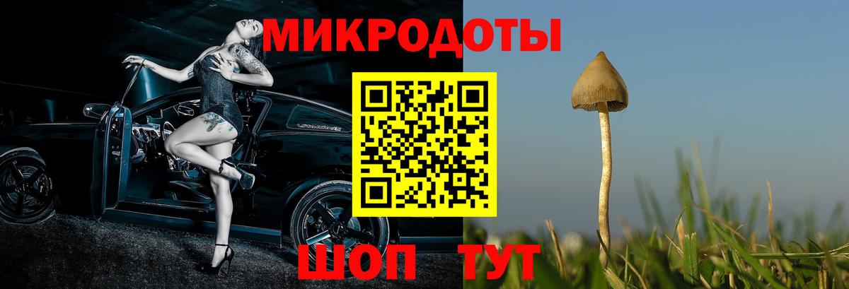 Галлюциногенные грибы прущие грибы  Вход с VPN  Киров 